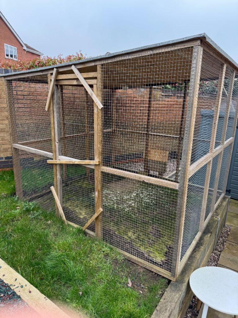 Chicken run
