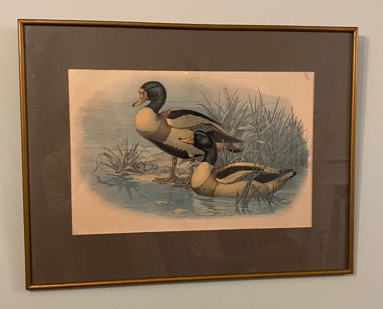 LARGE DUCKS PICTURE IN GLAZED FRAME