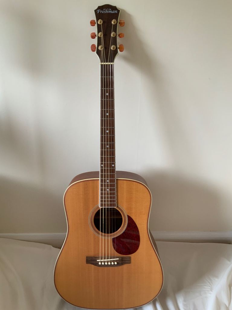 Freshman 250 Dreadnought Acoustic Guitar with Hard Case - Like New! PRICE REDUCTION