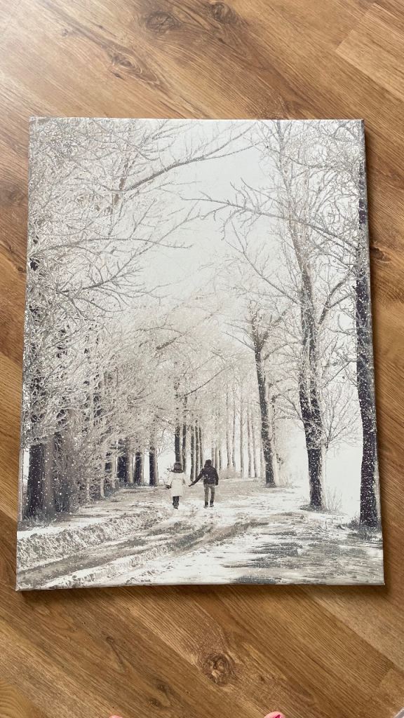 Winter Woodland Canvas Wall Art – Good Condition