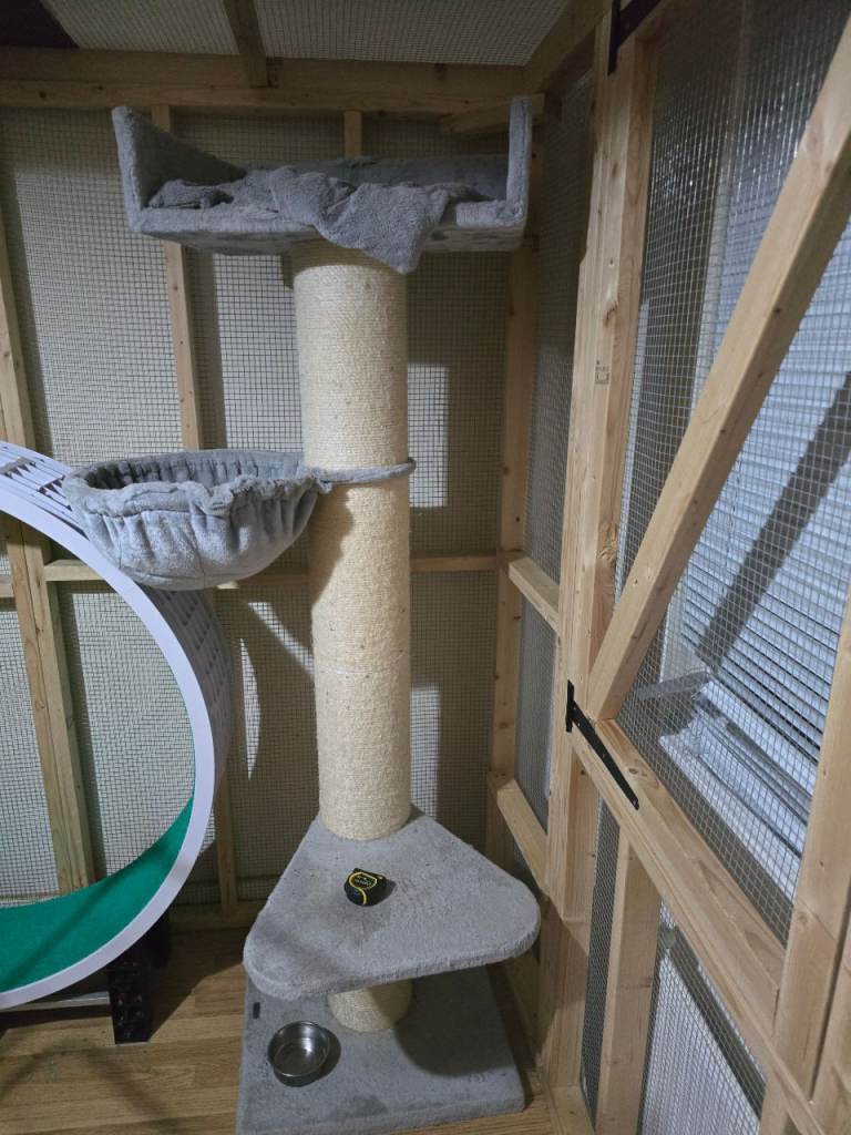 Cat tree king cat tree over 6ft 