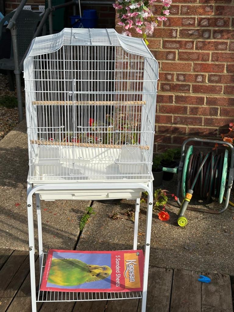 Bird cage 