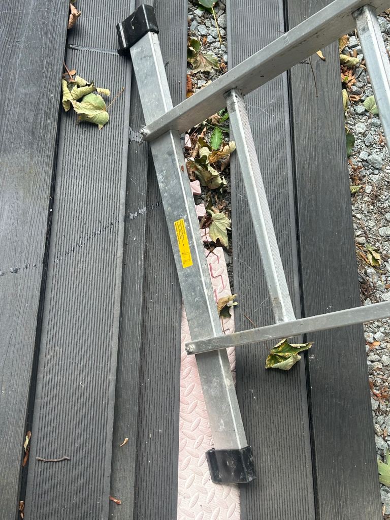 Youngman D11 Trade ladders 