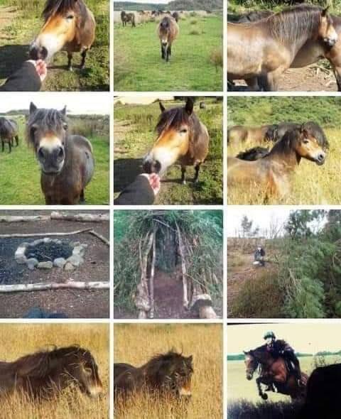 Urgently Looking For Houseshare