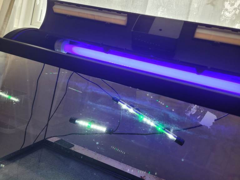 90 litre fish tank with lights