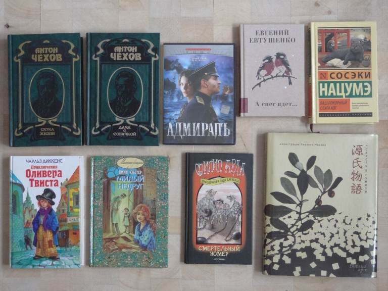 Job Lot Bundle of 8 Russian Language Books + 1 Russian Language DVD 