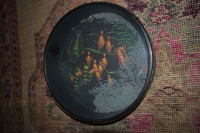 Remo Ocean Drum 12 inch Fish Pattern Sound Healing Percussion Instrument