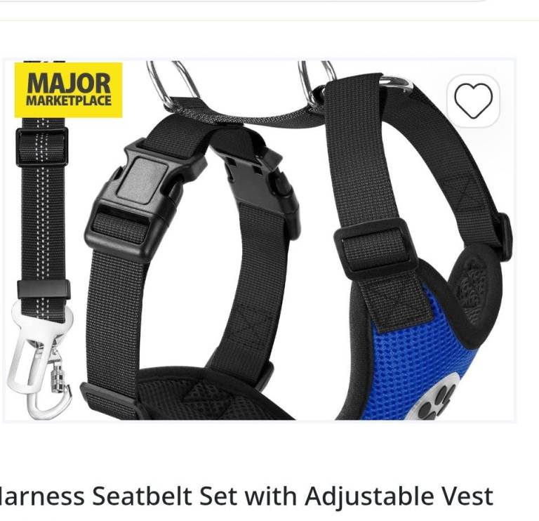Dog harness seatbelt 