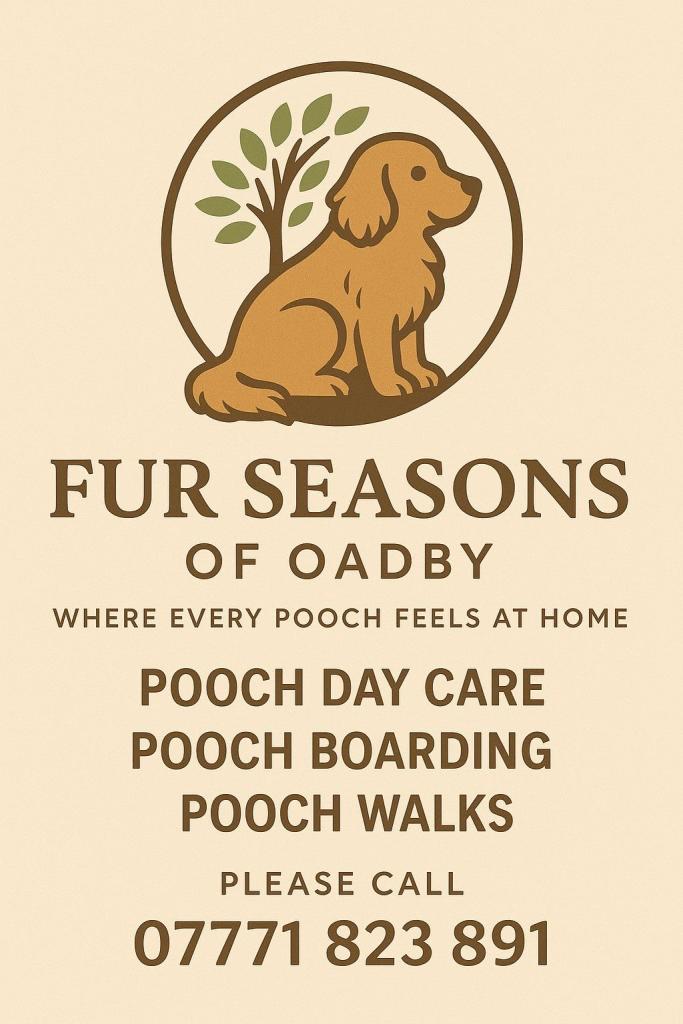 Luxury Home From Home Dog Boarding | One Dog at a Time | Exclusive Care