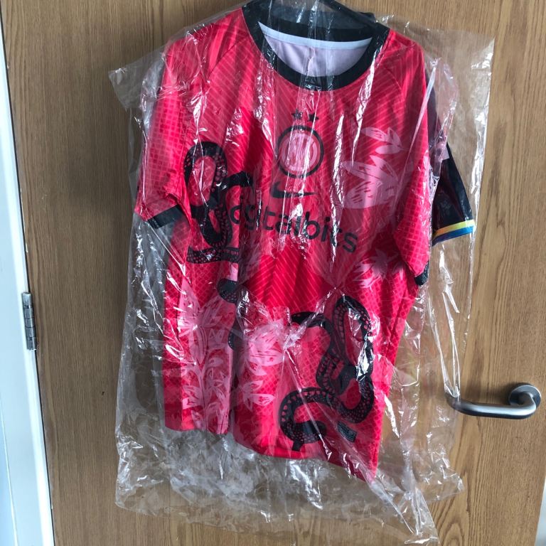 Inter Milan Pink Snake Shirt 