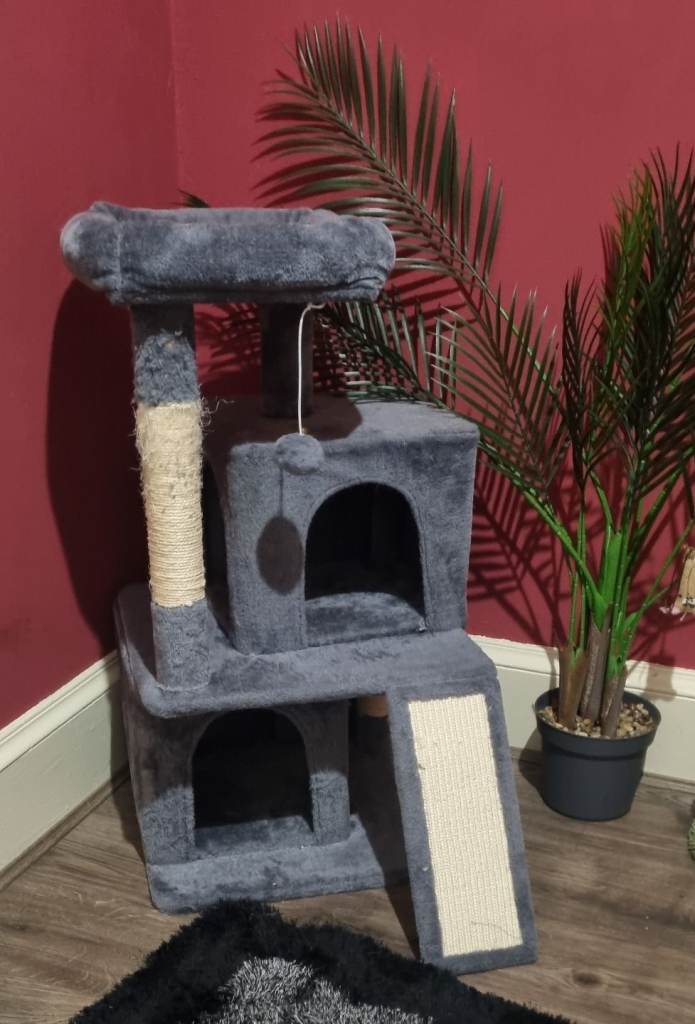 cat/kitten bumper package