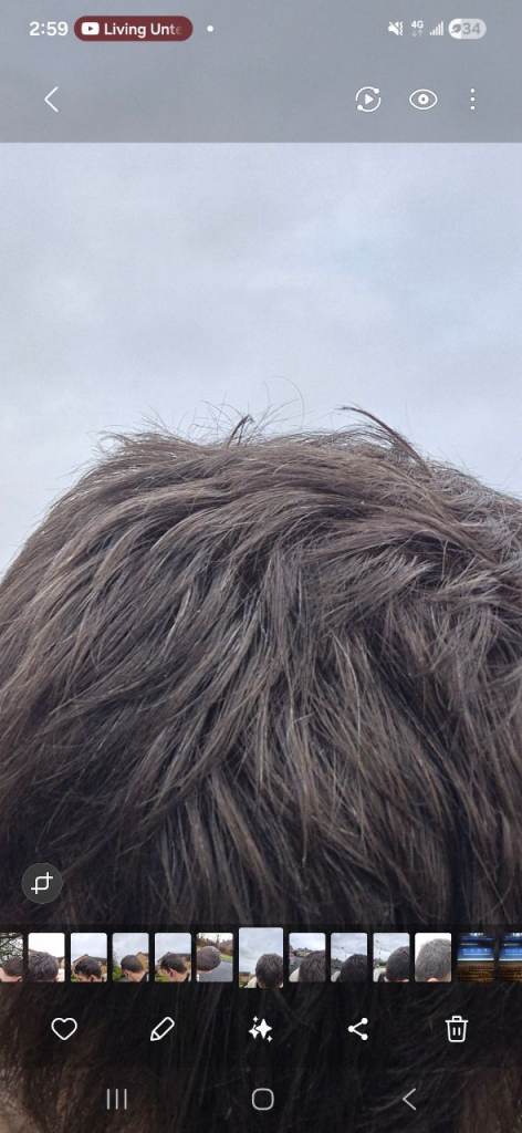 Looking for someone to pluck grey hairs - £40-50 cash for 90 minutes