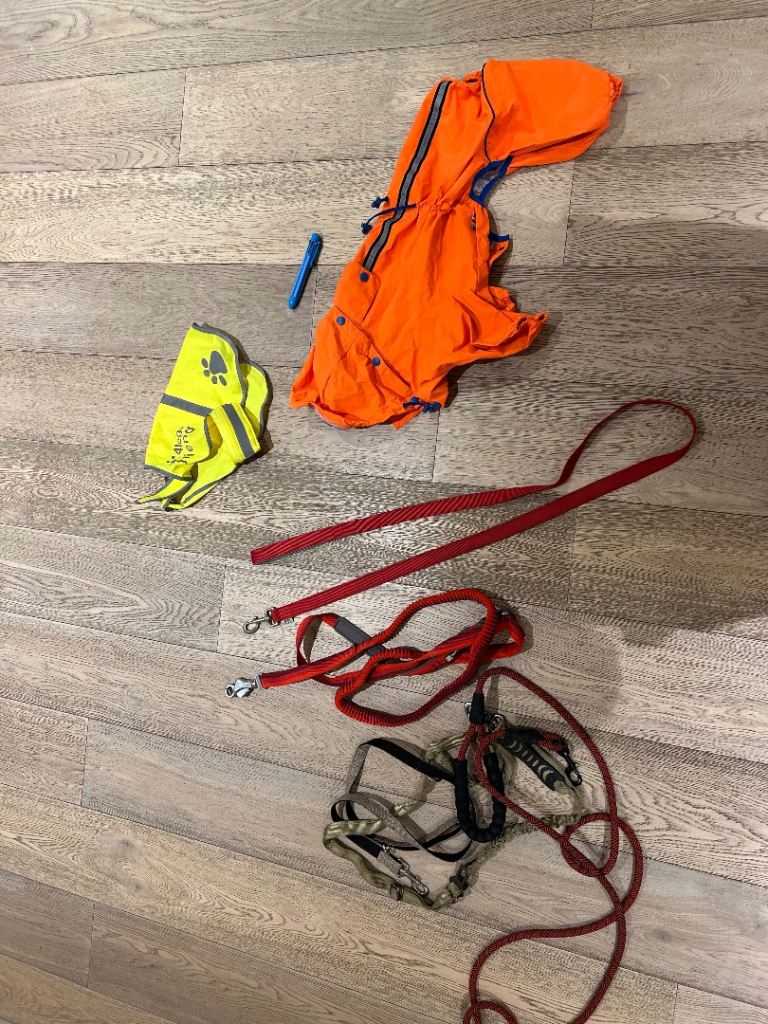 Dog leashes and dog coats