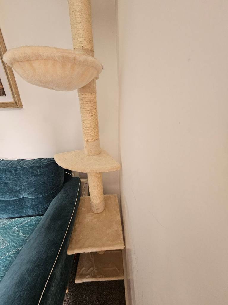 Floor to ceiling Cat tree 