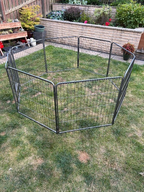 Dog pen