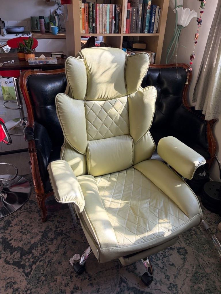 Desk chair / office chair / gaming chair 