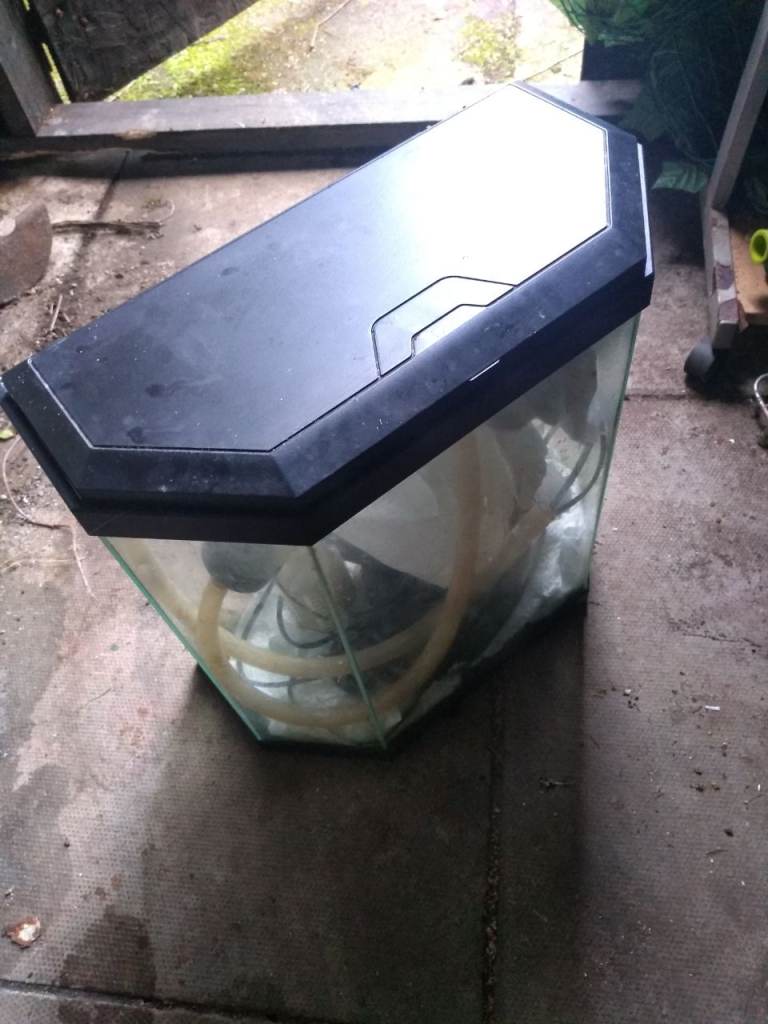 Free Fishtank