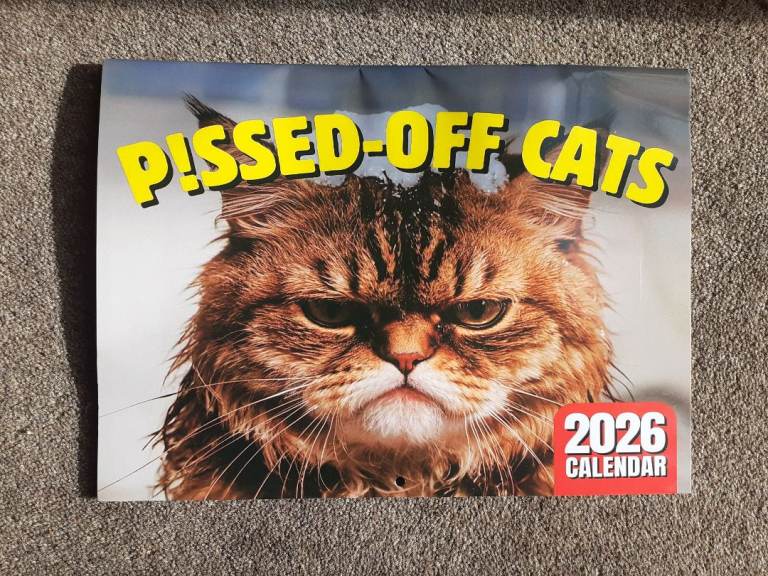 image for ONLY £4.30  ! - Humorous cat calendar for 2026 - GOOD SIZE MONTH BY MONTH