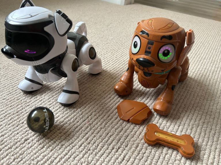 Two robotic dogs 