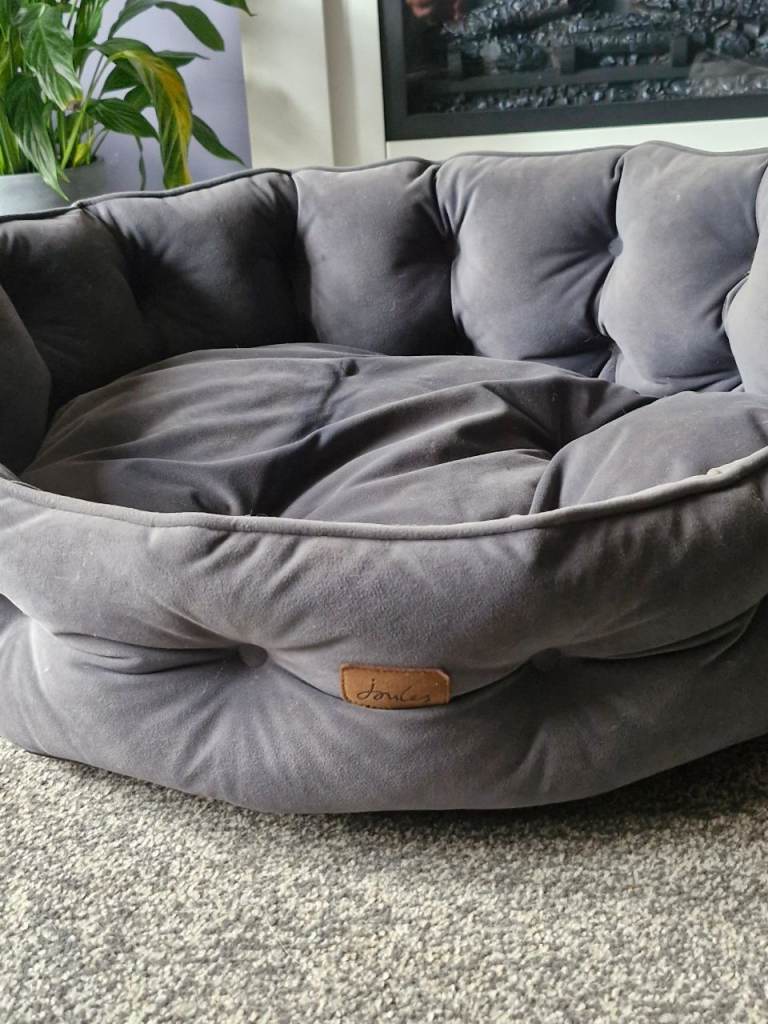 Joules dog bed