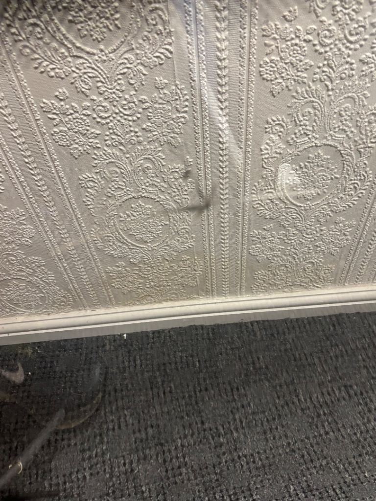 Swift Challenger Middle Window 