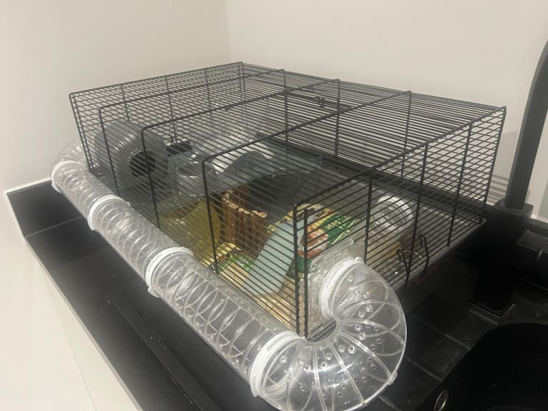 Small hamster cage and accessories 