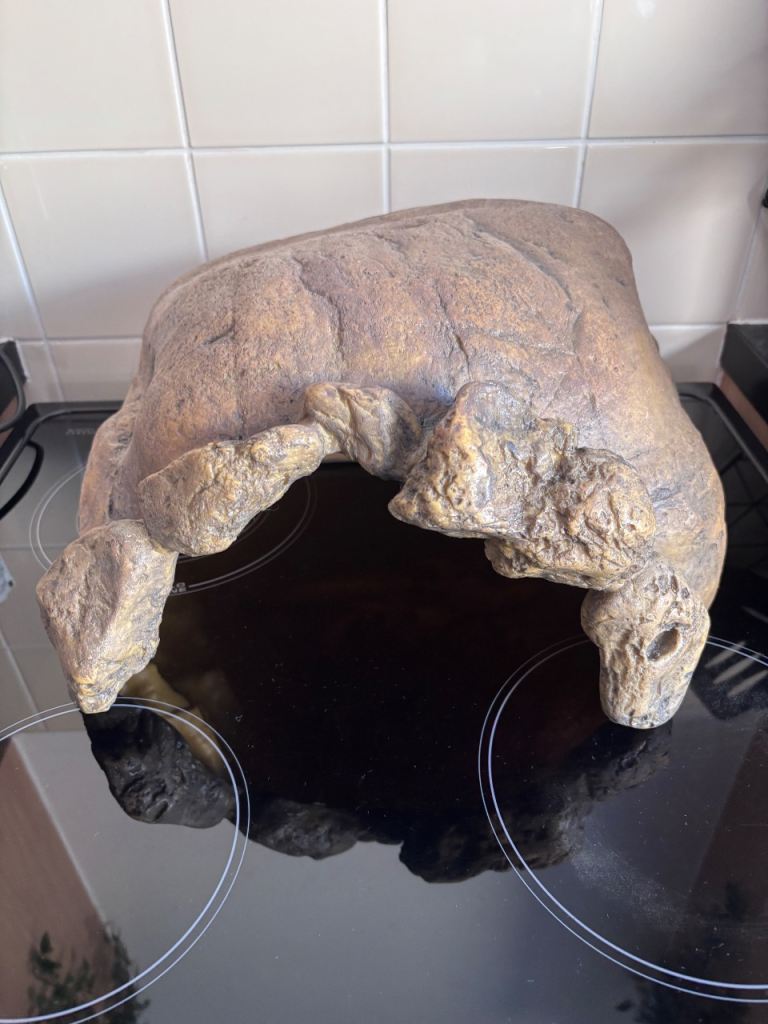 Exo Terra Large Tortoise Cave 28 x 19 x 39 cm