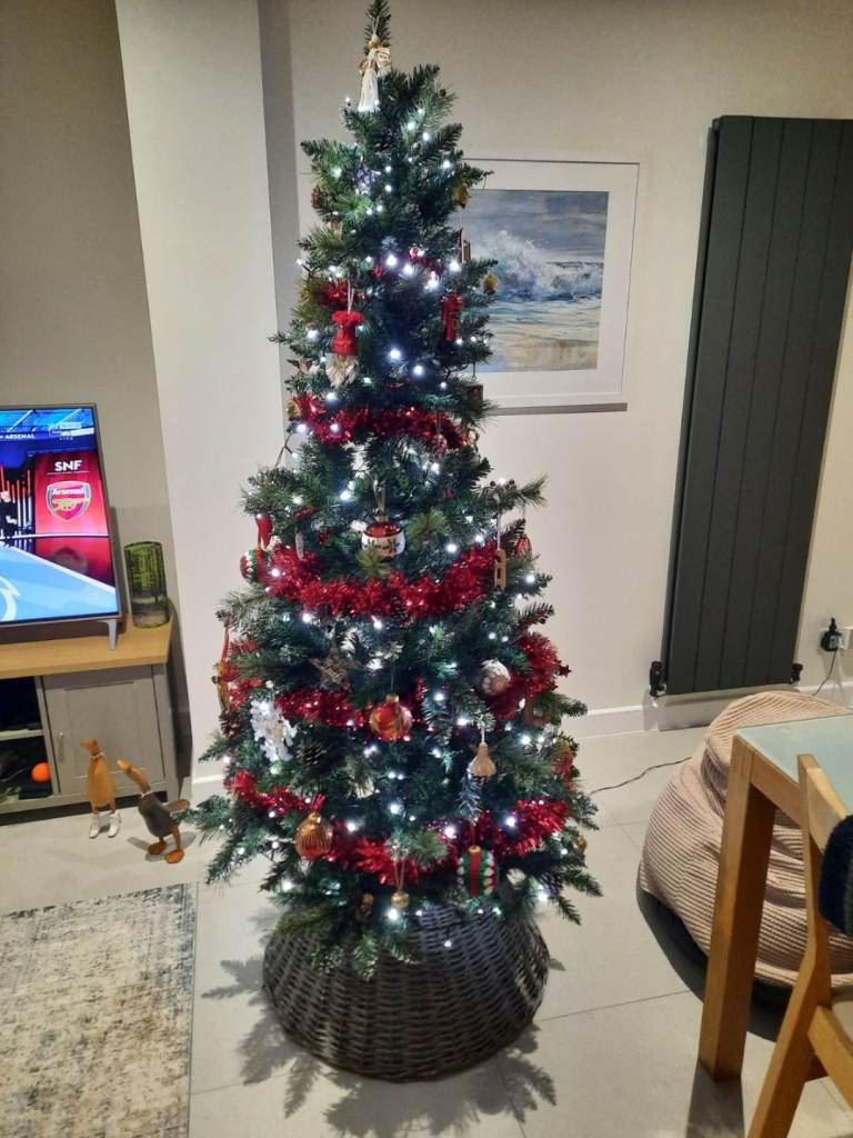 Snowy Cone & Berry Tree