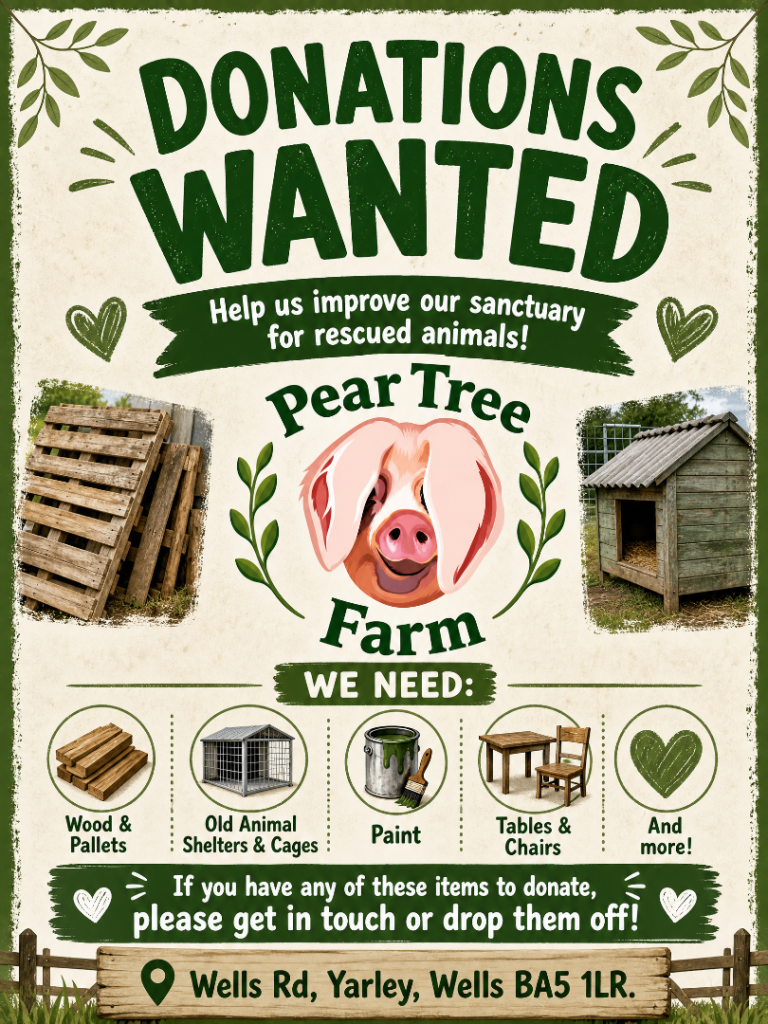 Donations Wanted for Animal Sanctuary – Wood, Pallets, Cages, Paint, Furniture