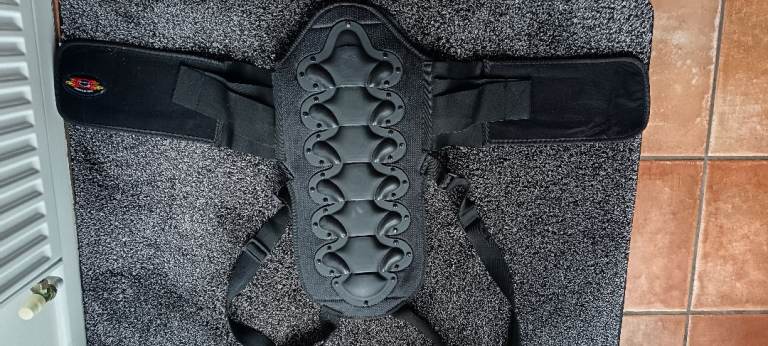 Motorcycle back protector