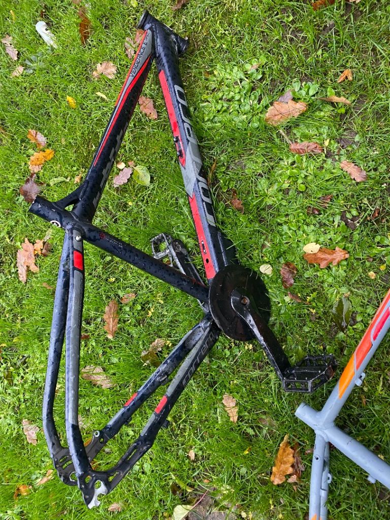 Need them gone no work going in to them 