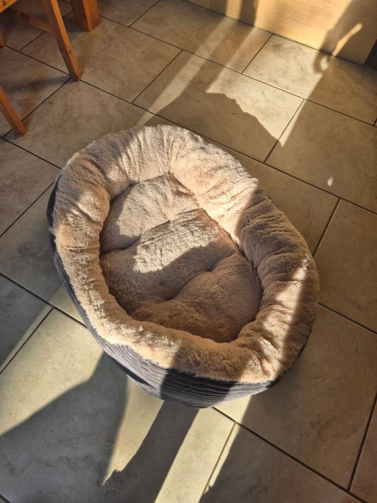 Dog bed