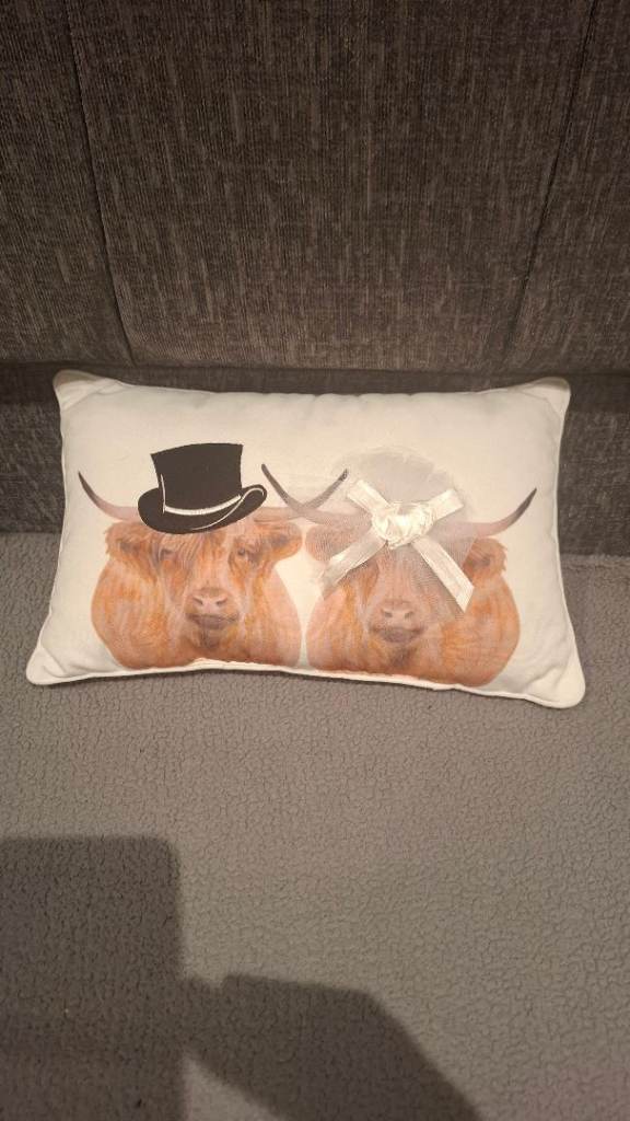 Mr and mrs highland cow cushion/pillow 
