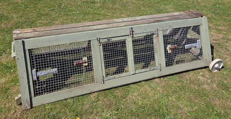 Rabbit runs and mesh fencing