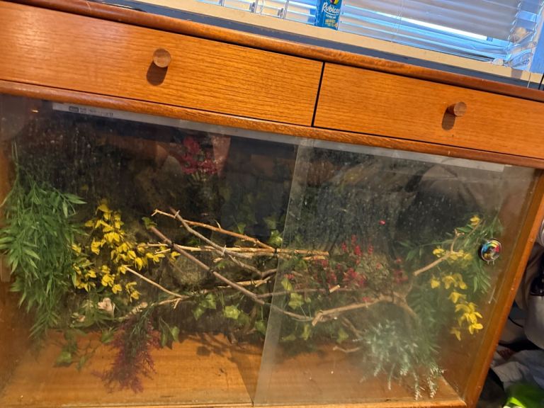 Vivarium 