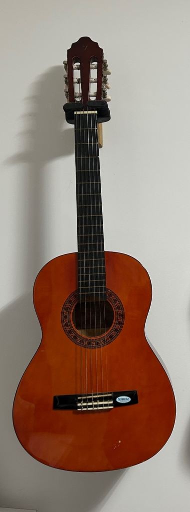 Acoustic Guitar 