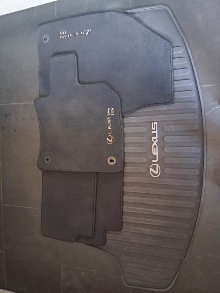 Boot liner and floors matts