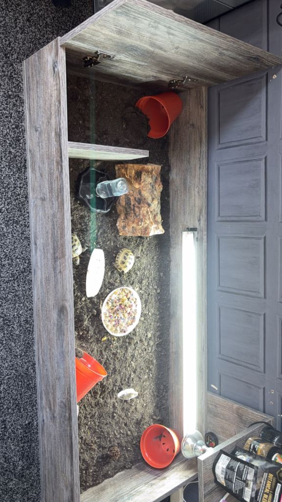 Large Wooden Pet Vivarium / Terrarium with Accessories