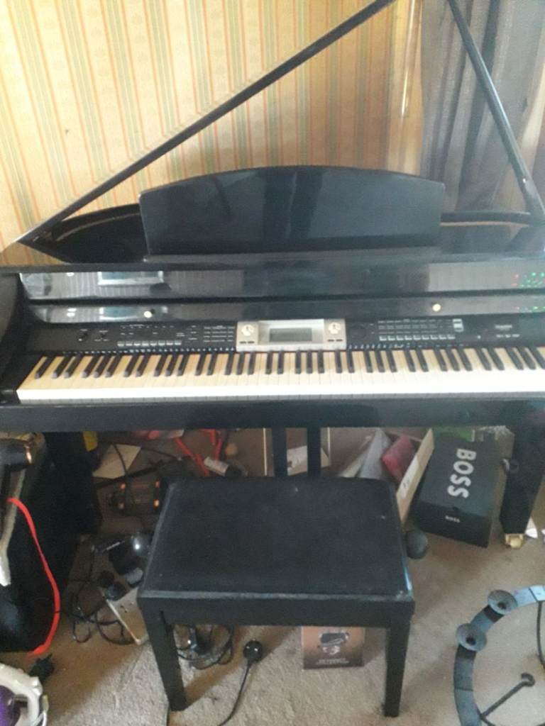 Baby grand piano electric