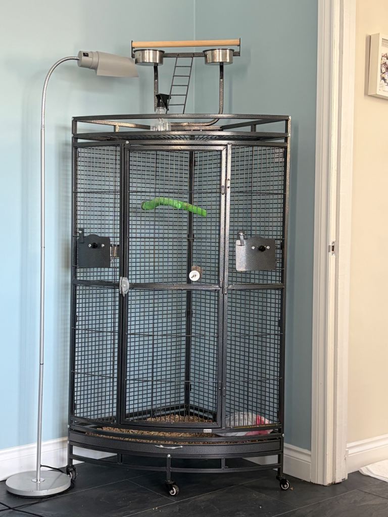 Corner Parrot Cage