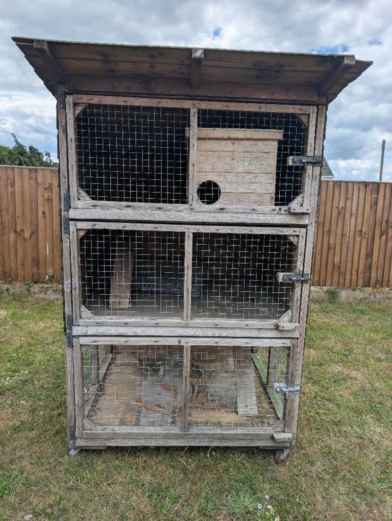 Rabbit hutch 