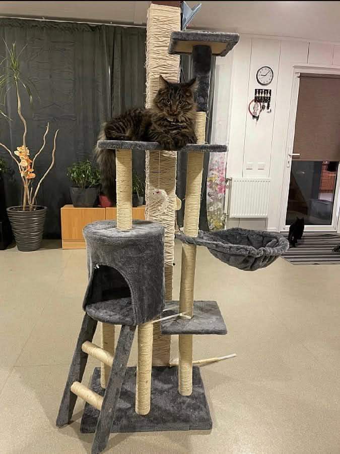 Malatec Cat Tree