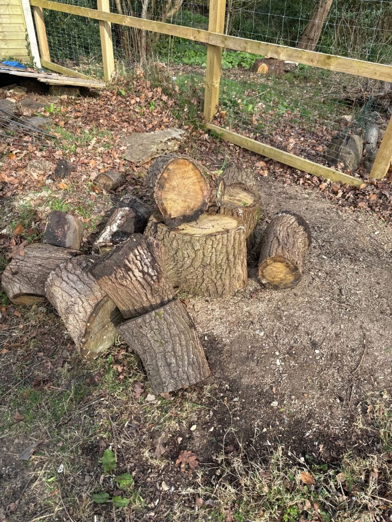 Loads oak logs 
