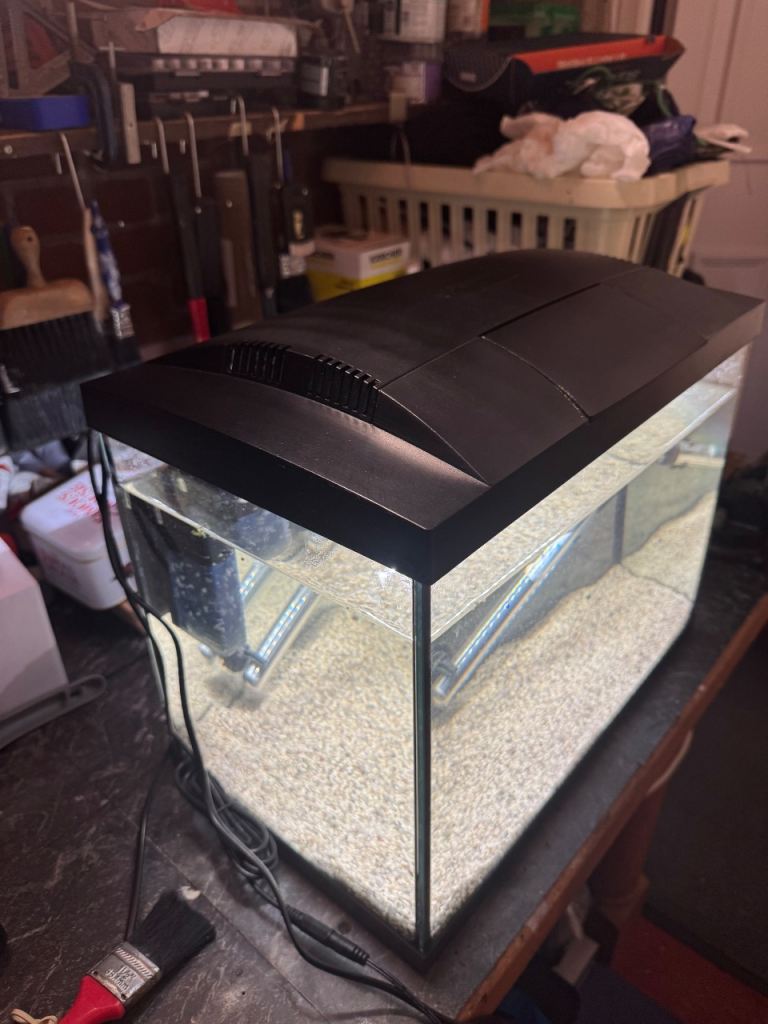 40 litre aquarium 
