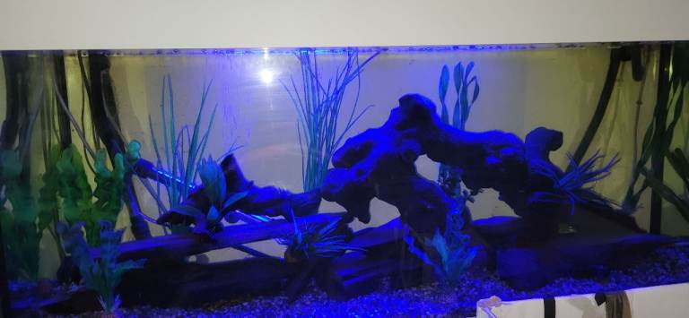 Jewel 4ft tank on cabinet. Complete set yp 