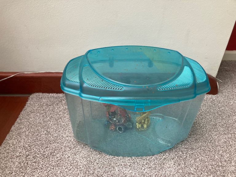 Small fish tank