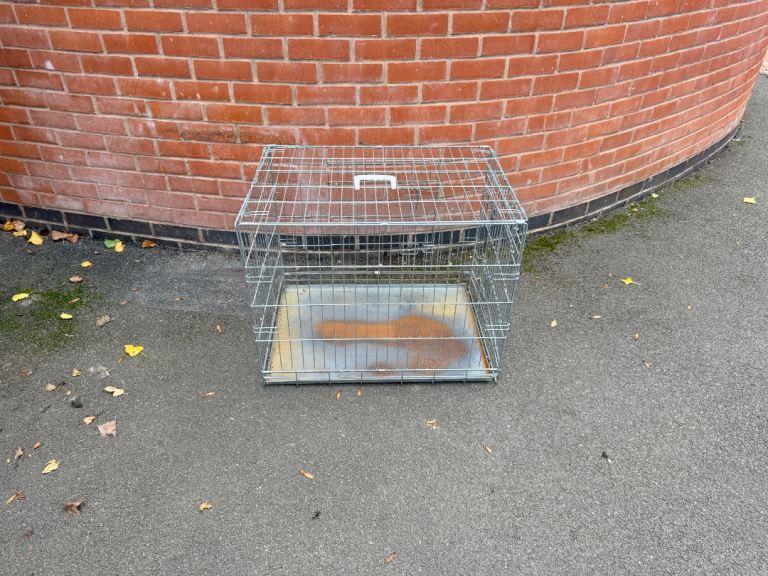 Medium dog crate