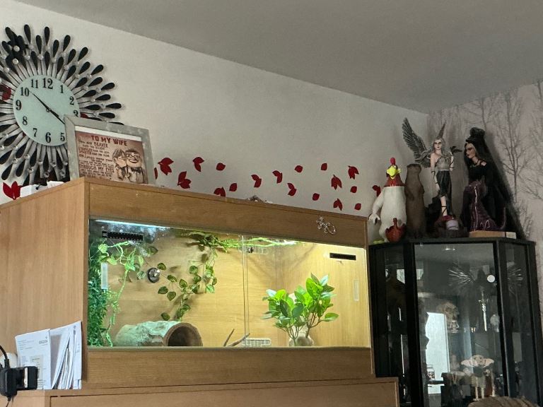 Vivarium