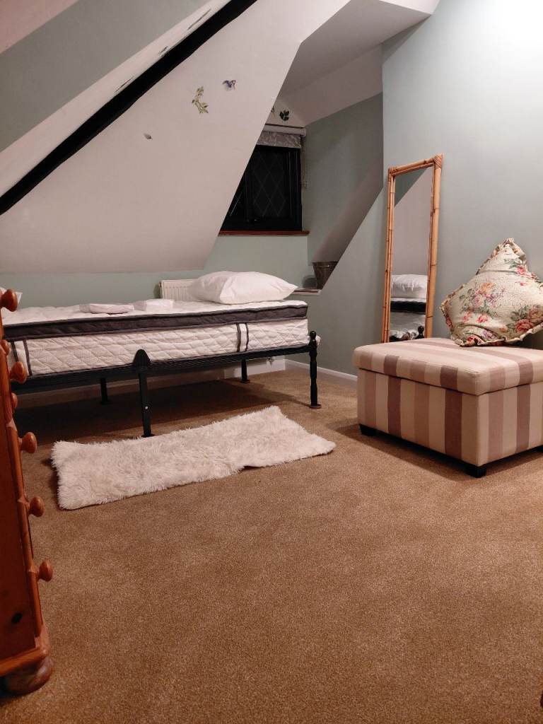 Suite of 2 rooms plus private shower room