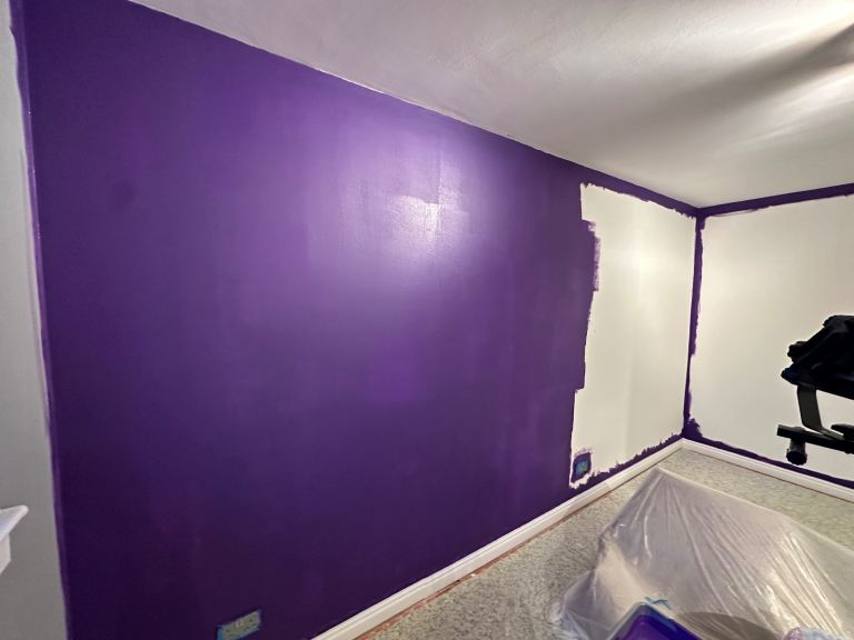 Valspar premium interior paint. ‘Crown jewels’ colour